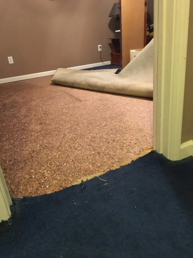 Carpet pad removal revealing water damage during Water Mitigation Services in Peters