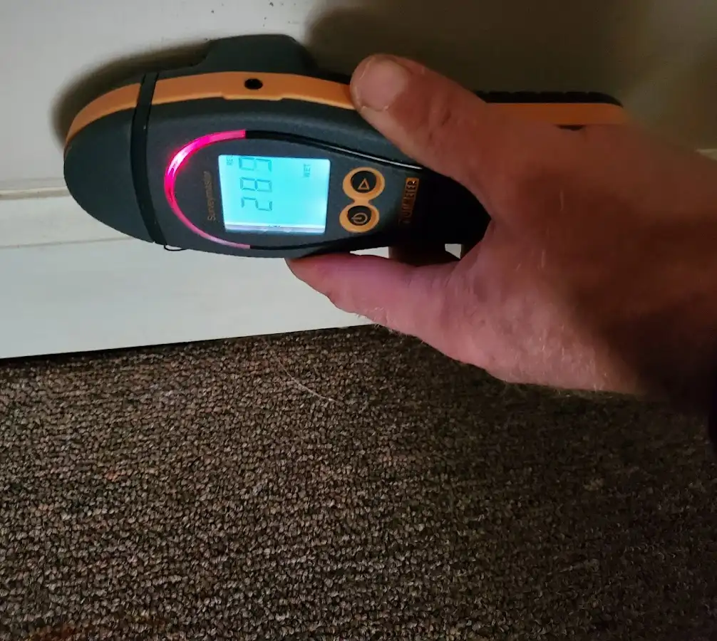 Moisture detection at baseboard during Storm Damage Restoration in Peters